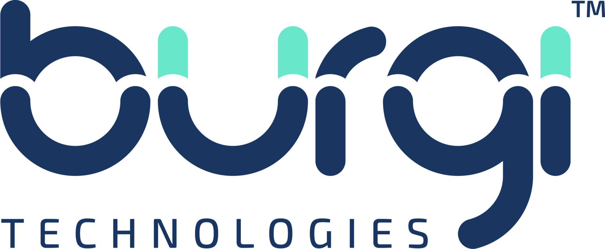 BurgiTech Logo